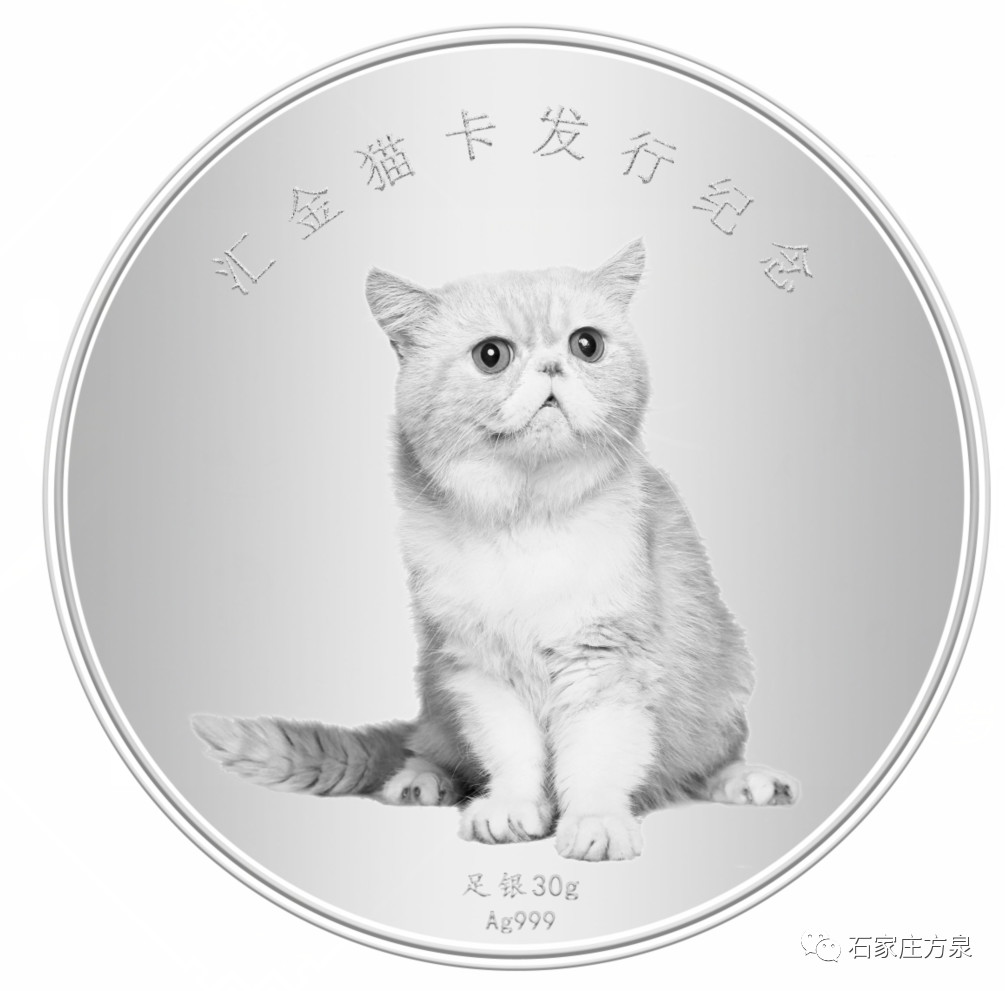 匯金0.jpg